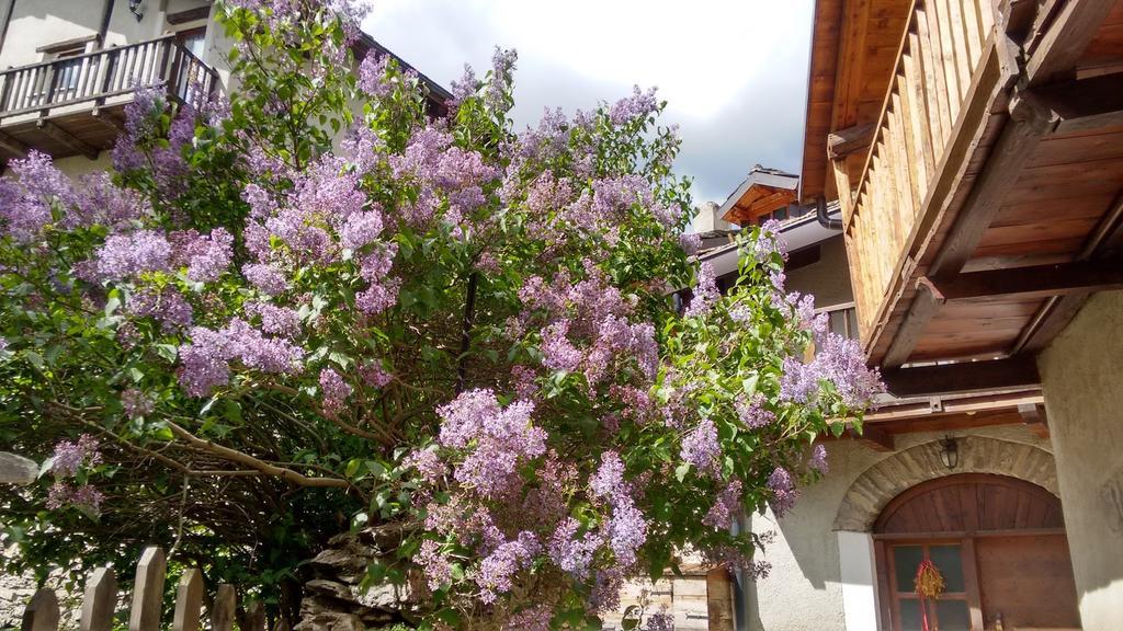 Casa Grande Apartment Pragelato Luaran gambar